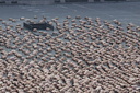 spencer tunick mexico high resolution 22