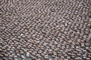 spencer tunick mexico high resolution 23