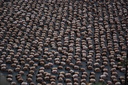 spencer tunick mexico high resolution 24