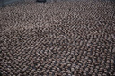 spencer tunick mexico high resolution 25