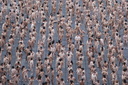 spencer tunick mexico high resolution 26