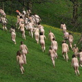spencer tunick manchester 20100503 12