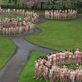 spencer tunick manchester 20100503 16