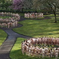 spencer tunick manchester 20100503 3