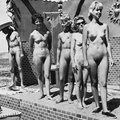 Nudists Pageants Festivals 44