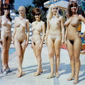 Nudists Pageants Festivals 64