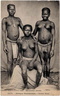 indigenes vintage 1900 45