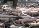 berkeley nude protest 2007 15