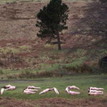 nude against war UK-Derbyshire