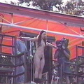 naked-bungee-jumping 14