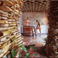 sauna nus 4