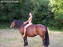 nude with horse 104