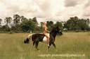 nude with horse 135
