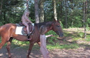Horse riding gototheshow 13