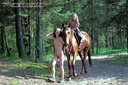 Horse riding gototheshow 4