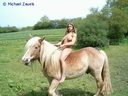nude with horse 122