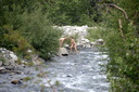 Nudists nude naturists tumblr 079