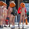 20101101 nude pumpkin runners 002
