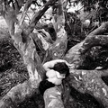 Jack Gescheidt tree spirit project EucalyptusEntwined