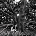 Jack Gescheidt tree spirit project MagnoliaExploration