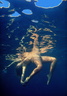 nude under water in colour 101