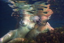 nude under water in colour 11