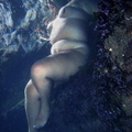 nude under water in colour 113