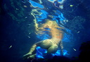 nude under water in colour 42