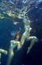 nude under water in colour 47