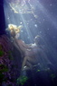 nude under water in colour 49