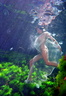 nude under water in colour 6