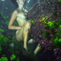 nude under water in colour 68