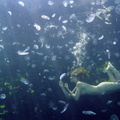 nude under water in colour 96