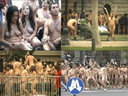 spencer tunick 2002 chile 14