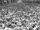 spencer tunick 2002 chile 22