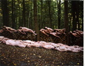 spencer tunick 2004 milford PA