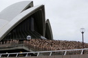 Spencer tunick Sydney Opera House 028