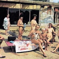 Nudists Camp Crowd 49