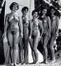 Nudists Pageants Festivals 109