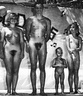 Nudists Pageants Festivals 116