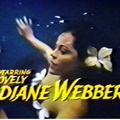 Diane Webber 528
