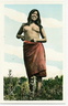 indigenes vintage 1900 22