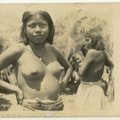 indigenes vintage 1900 56