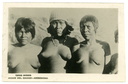 indigenes vintage 1900 67