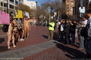 20121030 san francisco nude protest 012