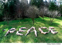 nude against war Seattle-Peace
