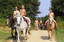activiteiten paarden 2