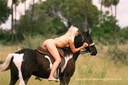 nude horse ride 16