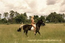 nude horse ride 17