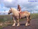 nude with horse 126